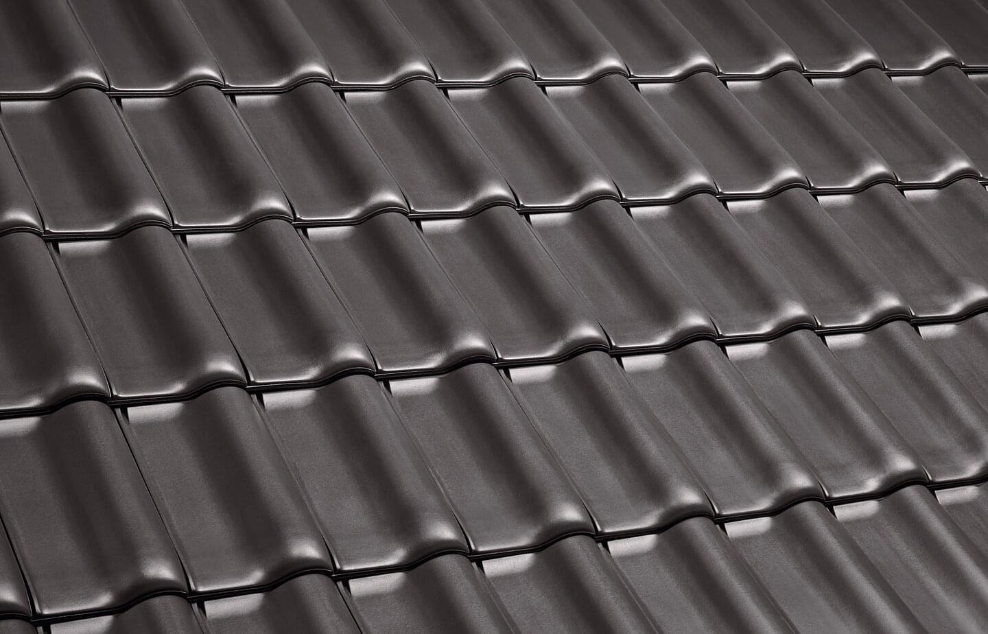 E 58 MAX® - Anthracite | Image roof surface